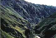 Picture 1